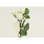 37cm Rose x5 Spray Cream