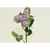 37cm Rose x5 Spray Antique Mauve