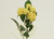37cm Rose x5 Spray Dark Yellow