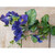 31" Morning Glory Spray Purple