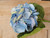29"  Hydrangea Stem Blue