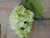 29" Hydrangea Stem Green