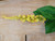 28" Veronica Stem Yellow