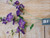 24" Morning Glory Spray Purple