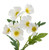 42cm Cosmos Spray x3 Cream