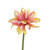 55cm Curly Gerbera Pink