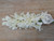 41.5cm Hyacinth Cream