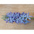 41.5cm Hyacinth Blue