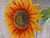 30" Sunflower Orange