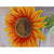 30" Sunflower Orange