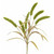 84cm Dracena w/Grass Spray Green