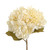 60cm Hydrangea Spray Cream