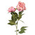 Peony Double Spray Antq Pink