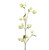 105cm Lantern Spray Cream