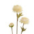 70cm Mum Spray x 3 Cream