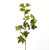 70cm Ivy Spray x 3 Green