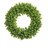 17" Boxwood Wreath