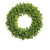 17" Boxwood Wreath