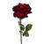 Balmoral Wine Rose Open