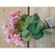 12" Geranium Bush Cream
