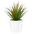 16cm Succulent White Pot