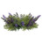 31cm Lavender Bush C/H