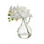 23cm Orchid w/Glass Cream
