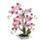 57cm Orchid in Square Pot Pink