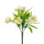 Crocus Bush Cream