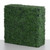 Boxwood Hedge 75x75x25cm