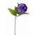 Eternity Peony Stem Purp 60Cm