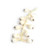 Garlic Hanging 50Cm