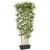 6' Bamboo Hedge
