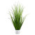 94cm Grass in White Pot