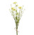 54cm Daisy/Grass x5 Bundle Cream