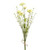 54cm Daisy/Grass x5 Bundle Cream