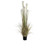 152cm Reed Grass w/Pot Cream