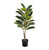 40" Rubber Plant
