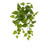 48cm Pothos Bush Green UV