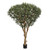 220cm Olive Umbrella Tree