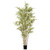 4' Royal Bamboo Tree