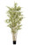 5' Royal Bamboo Tree
