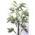 Parlour Palm Tree 6' Green