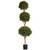 6' Boxwood Triple Ball Tree 3672Lv