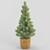 56cm Pine/Cone Tree in Basket