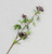 68cm Frosted Berry Spray Burgundy