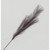 82cm Pampas Grass Spray Purple