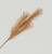 82cm Pampas Grass Spray Copper