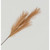 82cm Pampas Grass Spray Copper