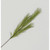 82cm Pampas Grass Spray Green